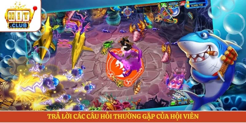Trả lời các câu hỏi thường gặp của hội viên